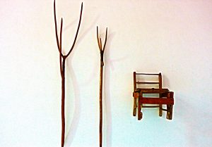 saphenion-venaseal,Rom2016